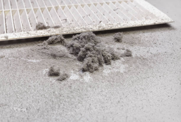 Best Ductwork Cleaning Services  in Santa Claus, IN