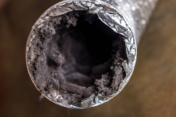 Best Emergency Air Duct Cleaning  in Santa Claus, IN